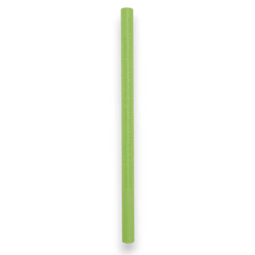 Picture of AQUA BONE NOODLE 48 INCH GREEN